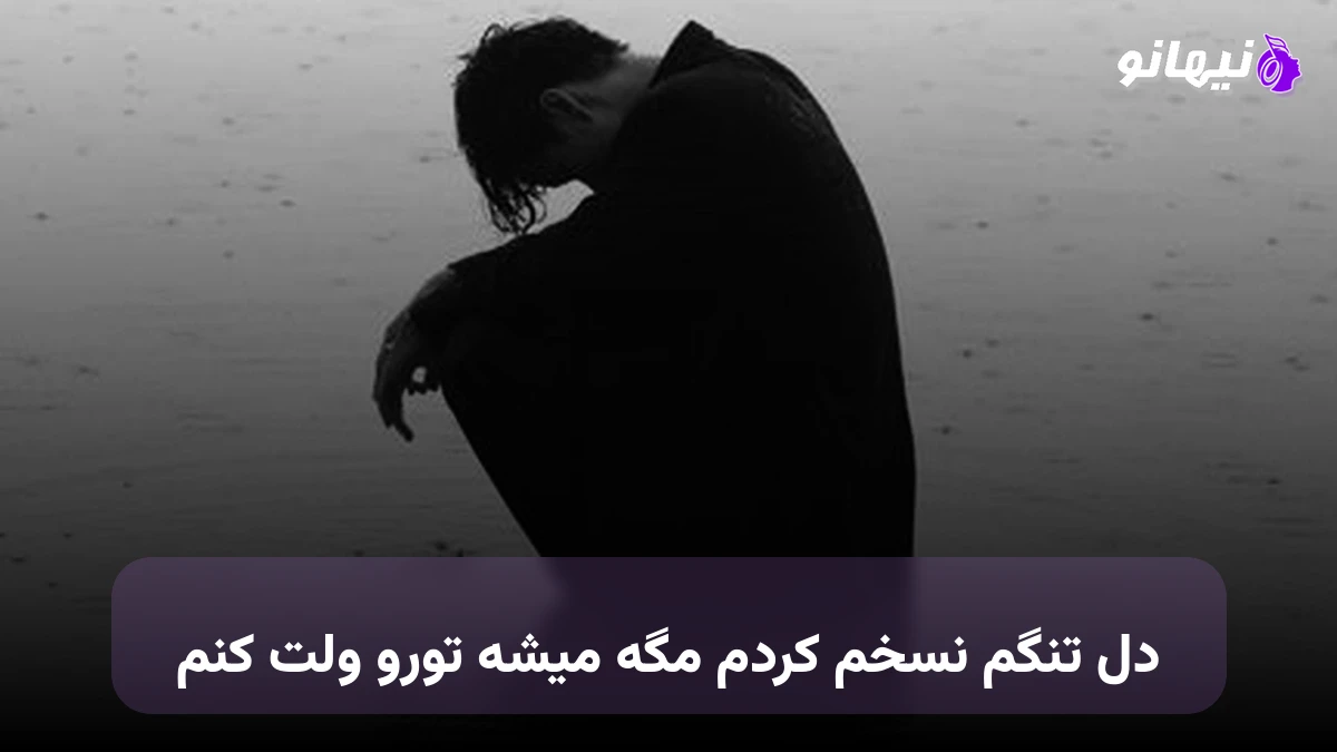 دانلود آهنگ دل تنگم نسخم کردم مگه میشه تورو ولت کنم فرهاد